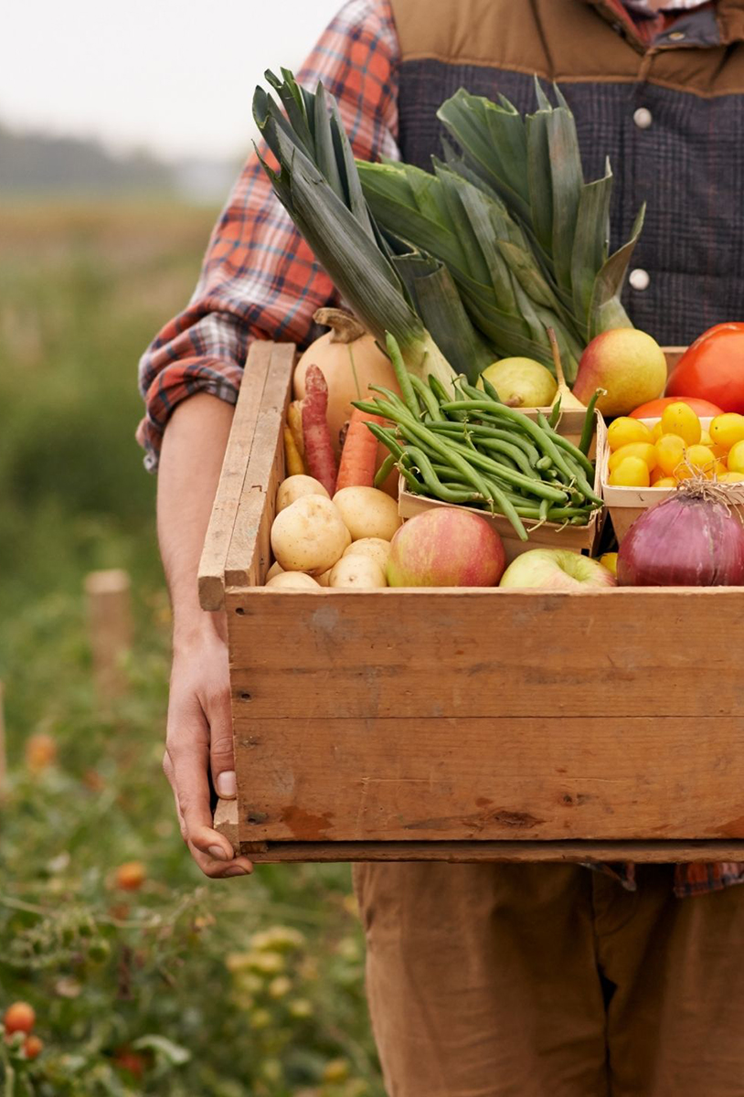 a farmer holding a wooden box full of fresh produce