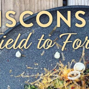 Wisconsin, Field to fork cookbook cover.