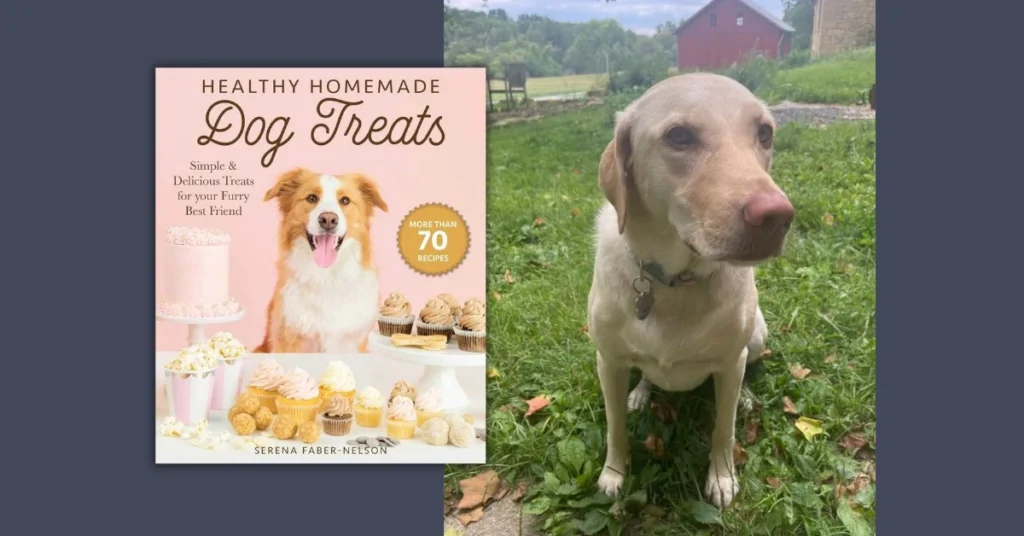 homemade dog treats class